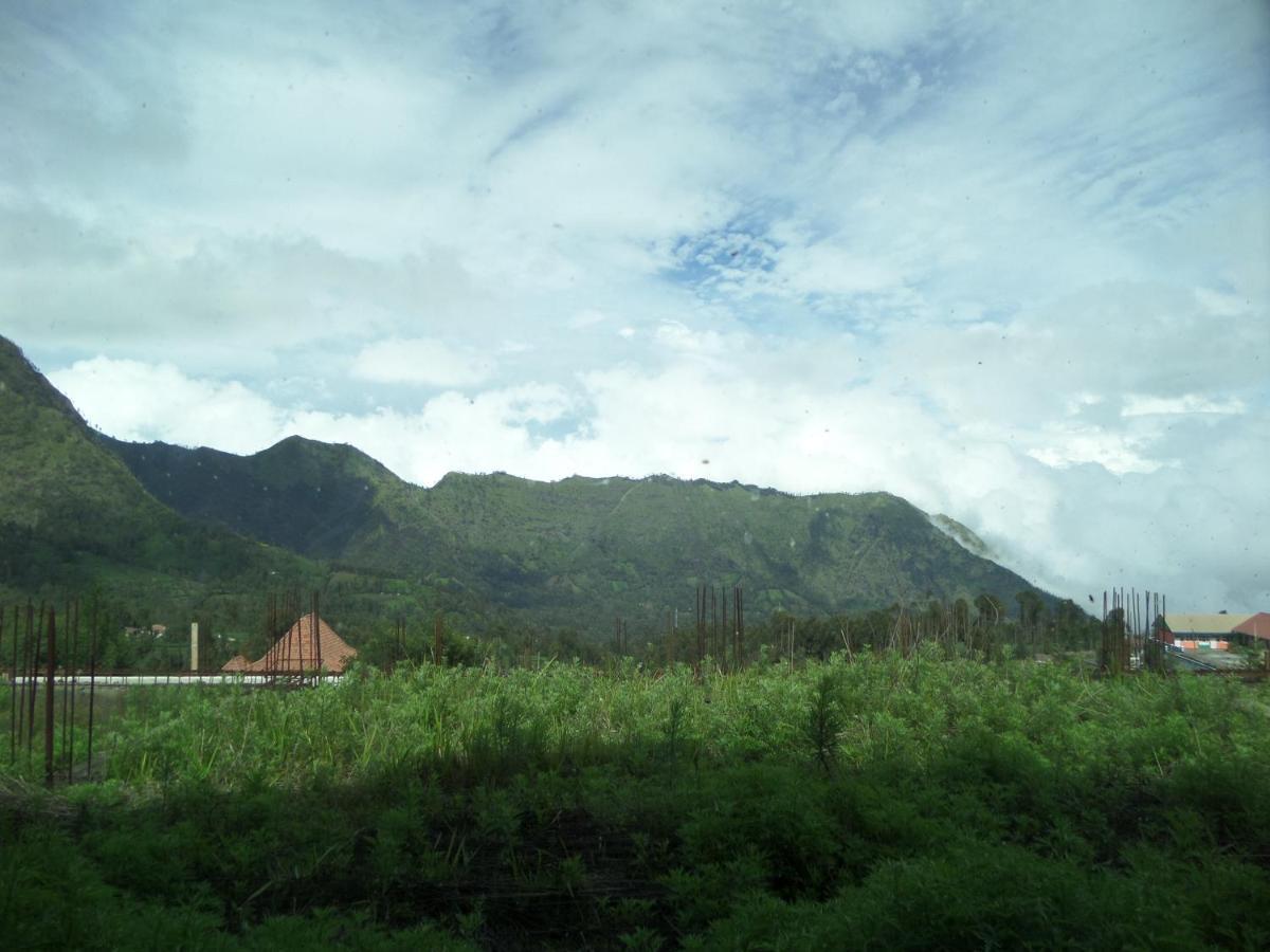 โรงแรมโบรโม เปอร์ไม ภายนอก รูปภาพ